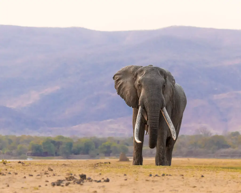 Off the Record, Chapter 1: Light and Dust